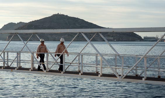 Dos personas sobre un puente encima del agua