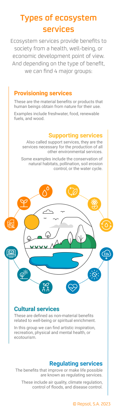 Ecosystem services infographic