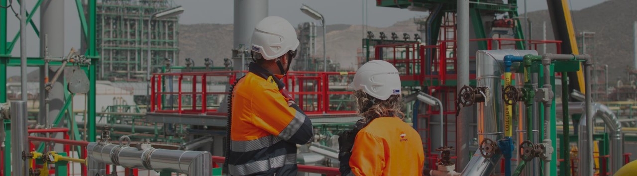 Empleados en complejo industrial