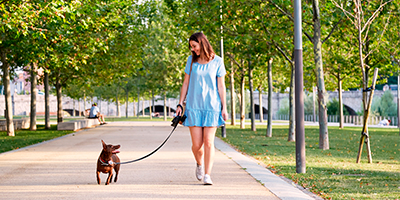 A girl walking her dog in the park