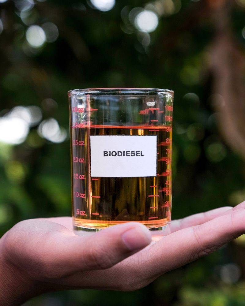 A hand holding a beaker with biodiesel