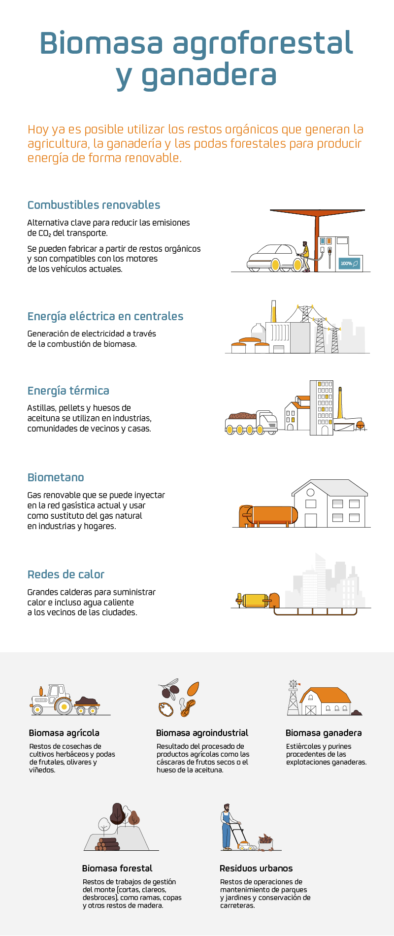 BIOMASA_AGROFORESTAL_800x1900_2