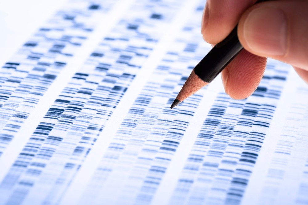 humano analizando secuencias de cromosomas