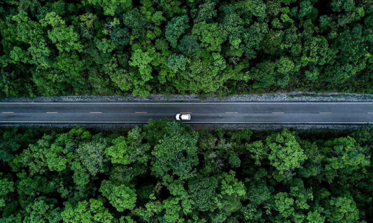 Aerial view of a car on a road in the middle of a forest