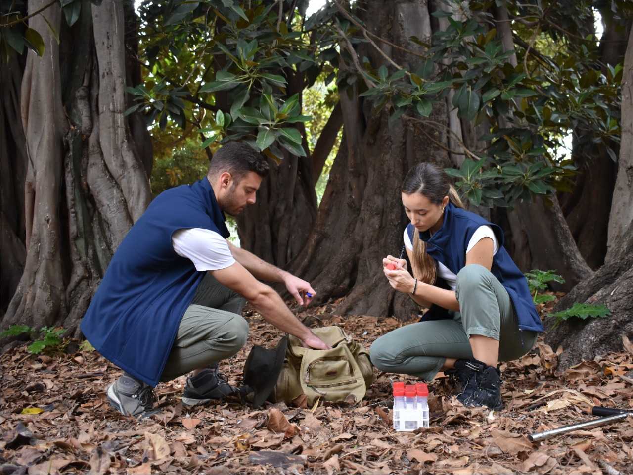 Dos biólogos entre ficus