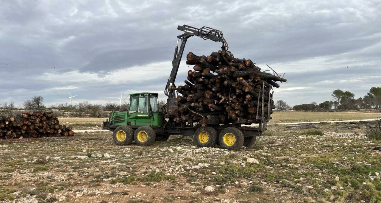 retirada-deshechos-biomasa.jpg