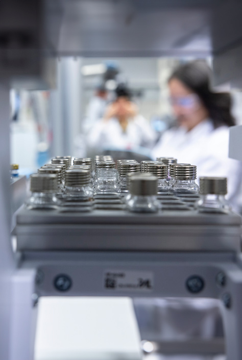Muestras en laboratorio