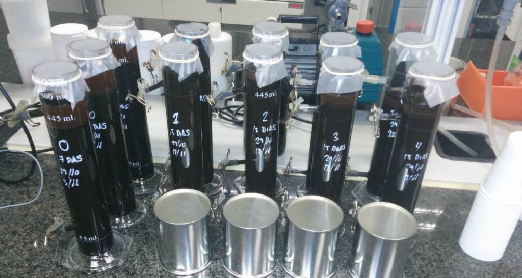 Beakers of emulsions being tested in a lab