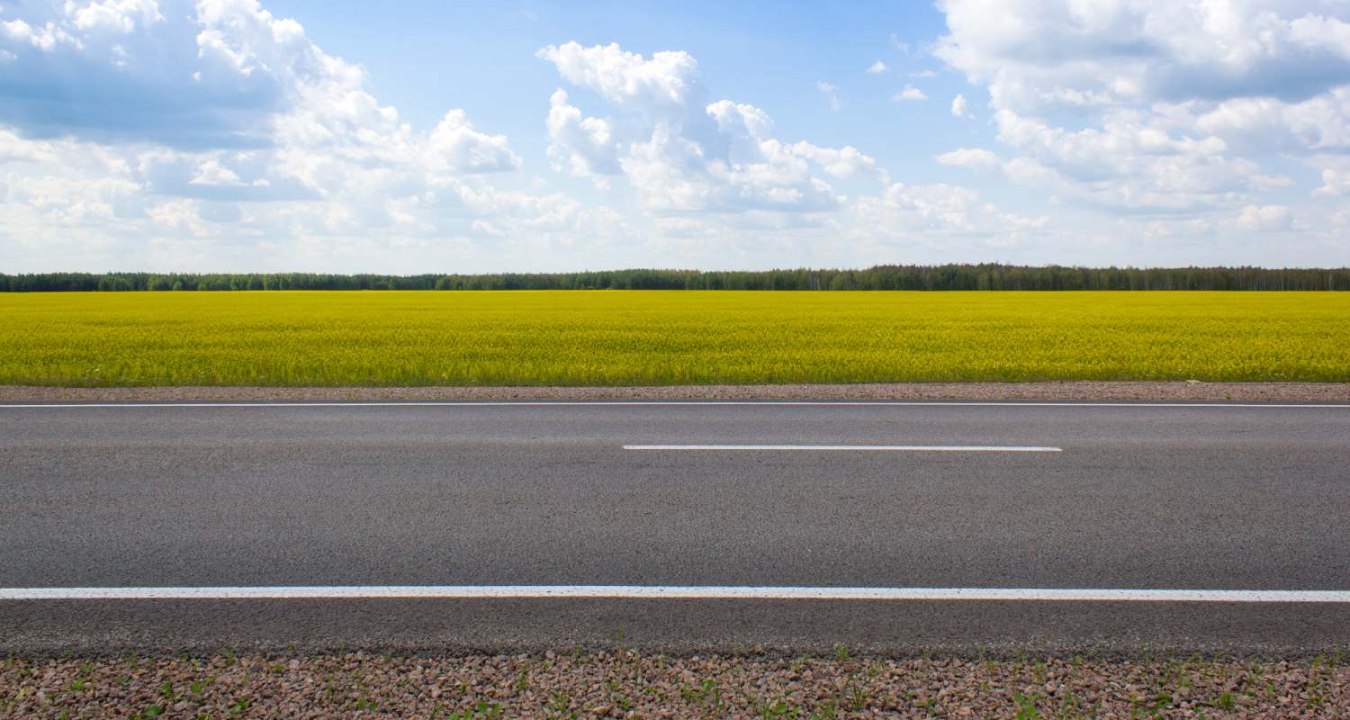 Vista de una carretera con árboles en los laterales