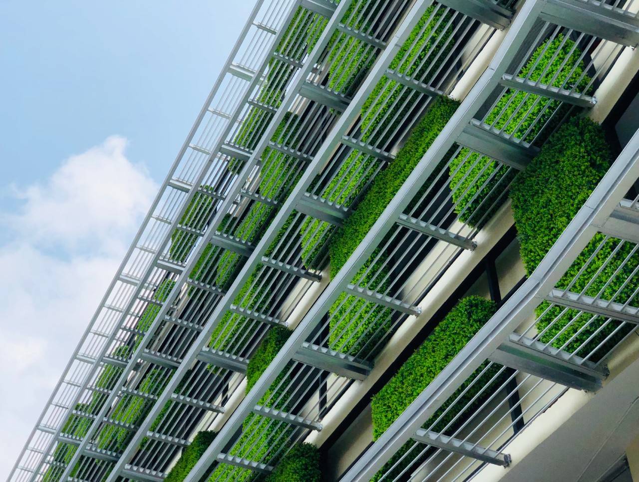 fachada verde, parte de la arquitectura sostenible