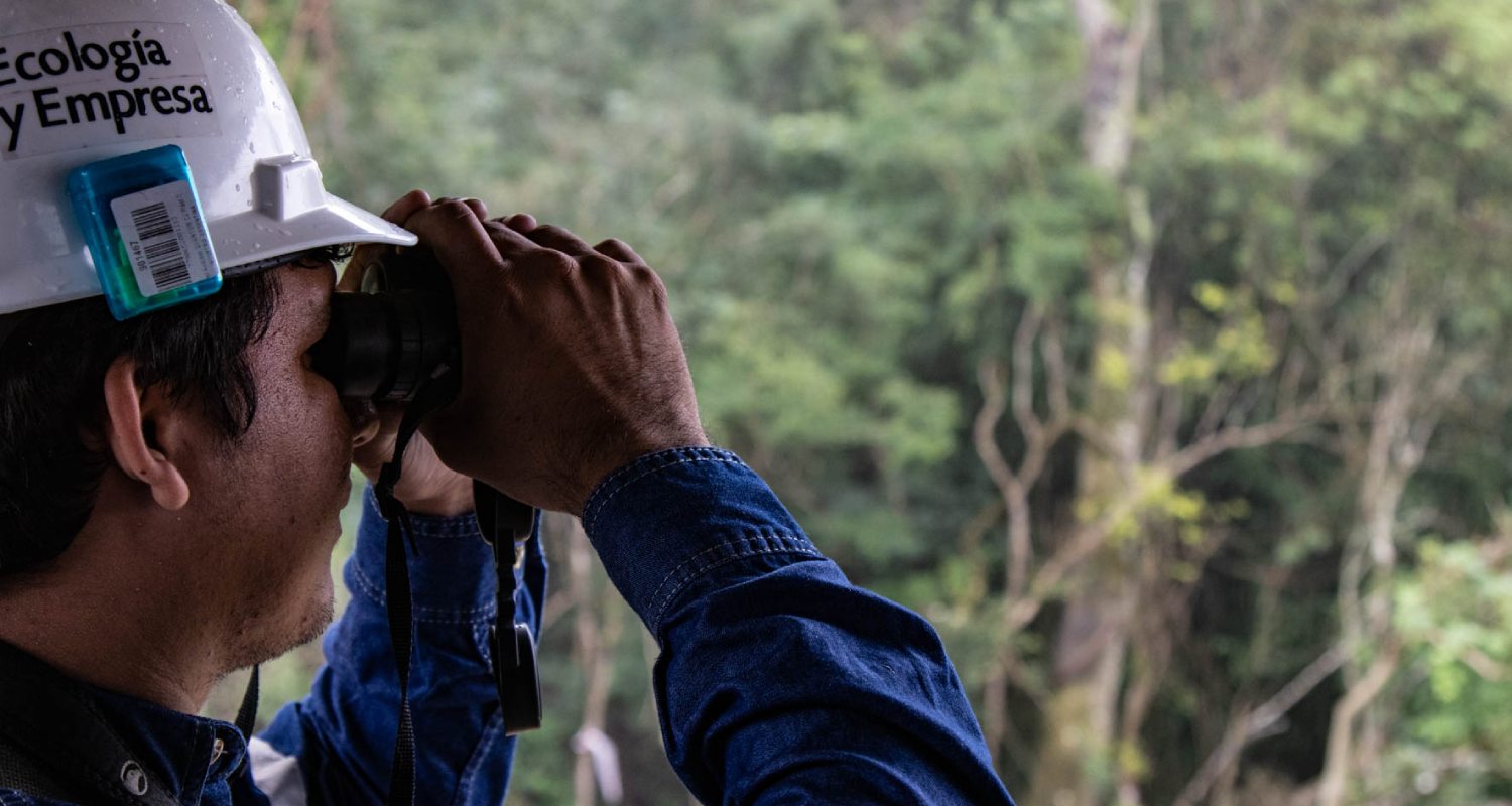 A worker looking through a pair of binoculars