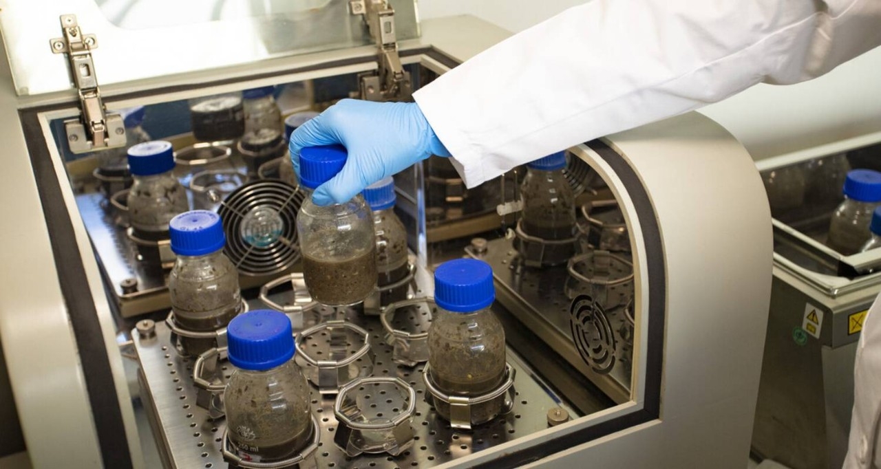 Detalle de envases en la Planta Perseo Biotechnology