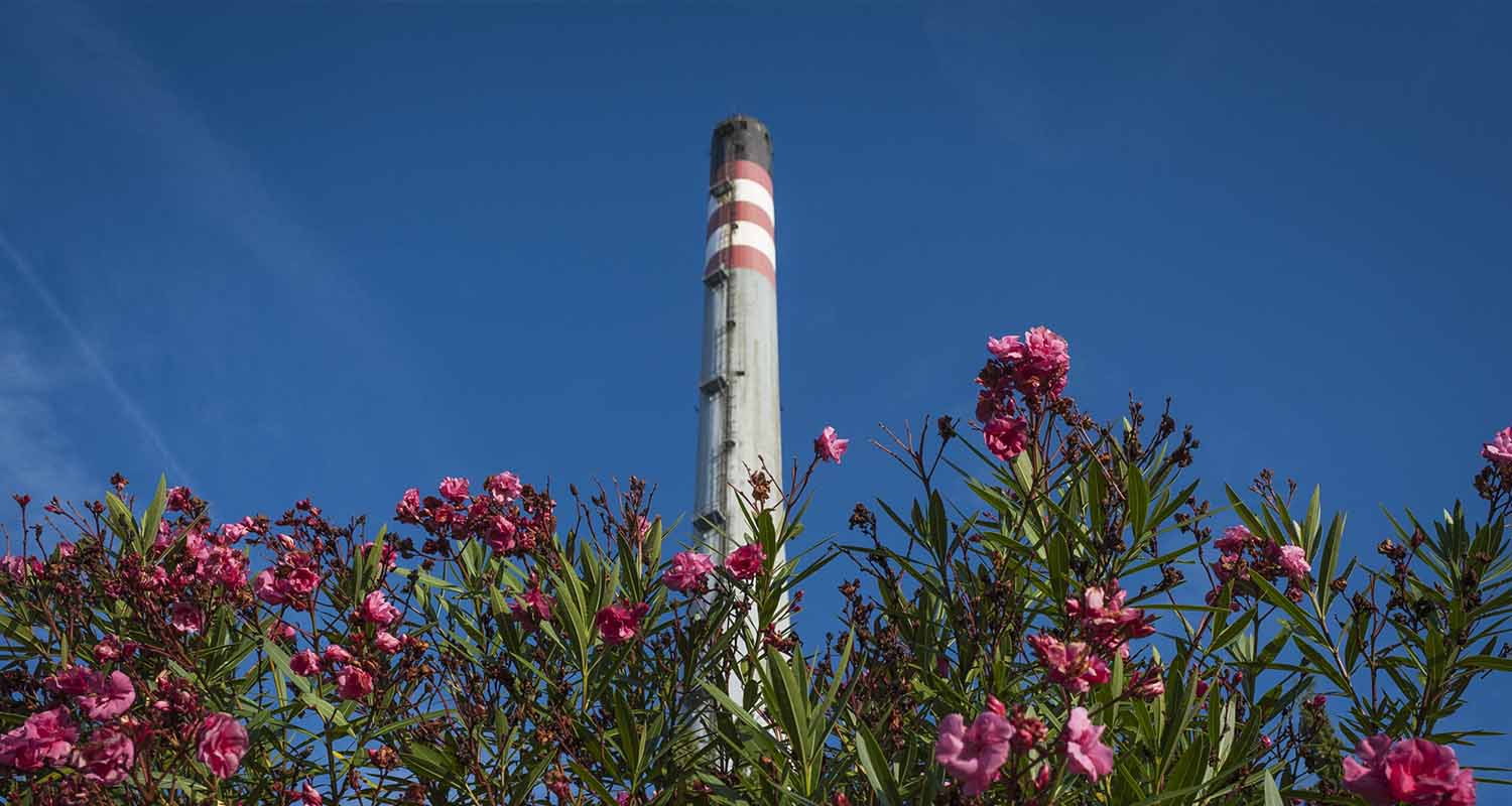 Refinery tower and flowers