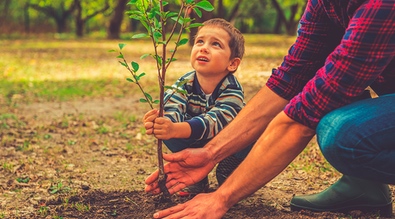child planting a tree with his father