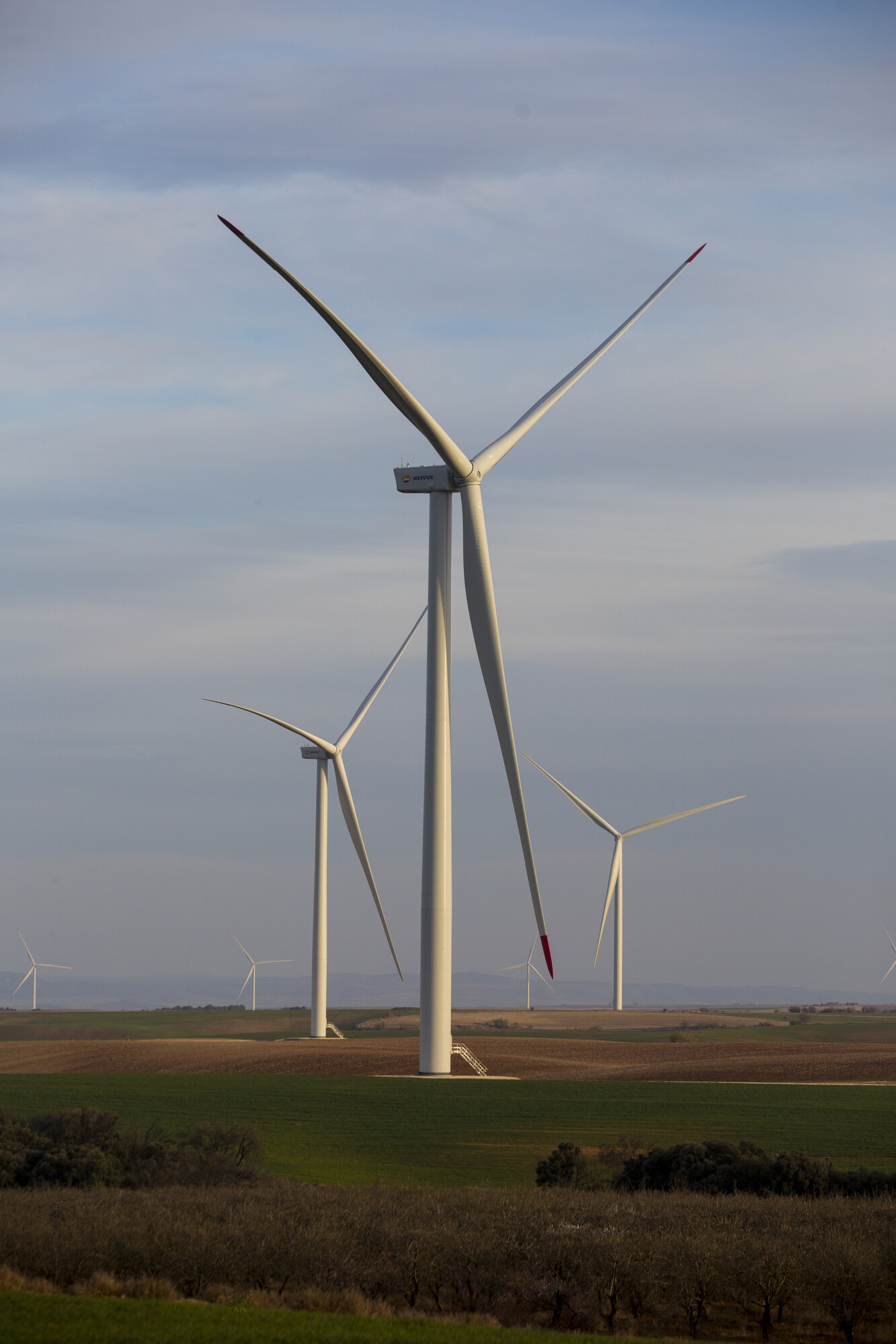 planta de cogeneración con energía eólica