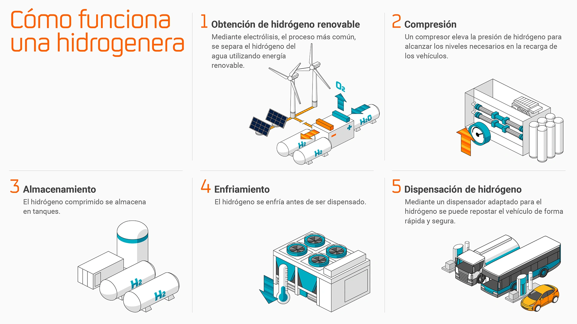 Infografía sobre el Ciclo de la biomasa